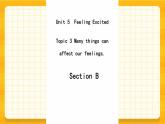 Unit  5  Topic 3 Section B 课件+教案+练习+音频
