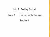 Unit  5 Topic 2Section B 課件+教案+練習(xí)+音視頻