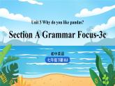 人教七下英语 Unit5第2课时（SectionA Grammar Focus-3c） PPT课件