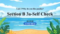 初中英语人教新目标 (Go for it) 版七年级下册Section B背景图ppt课件