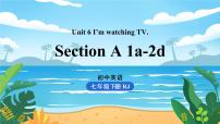 人教新目标 (Go for it) 版Section A图文课件ppt