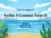 人教七下英语 Unit6第2课时（SectionA Grammar Focus-3c） PPT课件