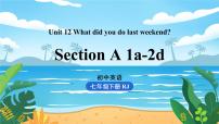 人教新目标 (Go for it) 版七年级下册Section A授课ppt课件