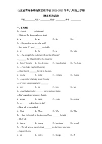 山东省青岛市崂山区实验学校2022-2023学年八年级上学期期末英语试题(含答案)
