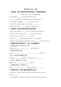 初中英语人教新目标 (Go for it) 版八年级下册Section A巩固练习