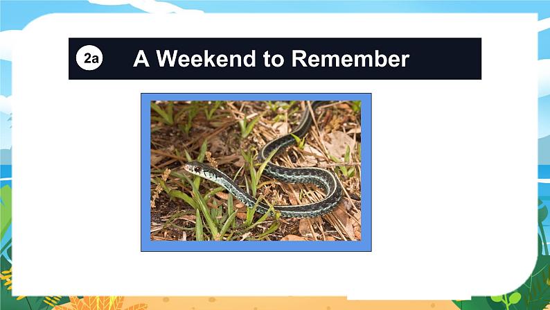 人教7英下 Unit 12 第4课时（B 2a-2c） PPT课件04