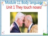 【外研版】七下英语 Module 11 Unit 1（课件+音视频）
