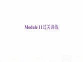 外研版七年级英语下册Module 11过关训练课件