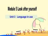初中英語外研版九下M5U3課件