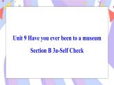 Unit 9 Section B 3a-Self Check 课件 人教版八年级英语下册