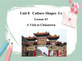 Lesson 43 A Visit to Chinatown备课件