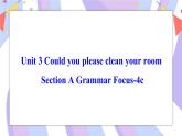 Unit 3 Section A Grammar Focus-4c 课件 人教版八年级英语下册