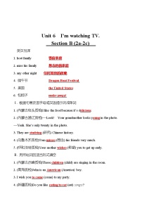 初中英语人教新目标 (Go for it) 版七年级下册Unit 6 I’m watching TV.Section B课后复习题