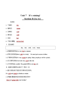 人教新目标 (Go for it) 版七年级下册Section B课时练习