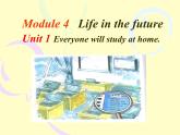 Module 4 Unit 1课件  2022-2023学年外研版七年级英语下册