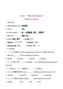 初中英语人教新目标 (Go for it) 版八年级下册Section A精练