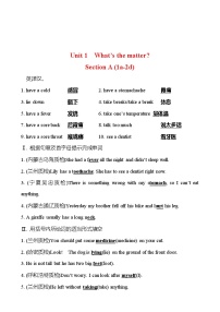 初中人教新目标 (Go for it) 版Unit 1 What’s the matter?Section A课后复习题