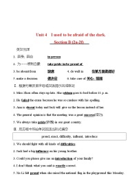 初中英语人教新目标 (Go for it) 版九年级全册Unit 4 I used to be afraid of the dark.Section B同步达标检测题