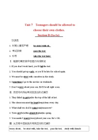 人教新目标 (Go for it) 版九年级全册Unit 7 Teenagers should be allowed to choose their own clothes.Section B复习练习