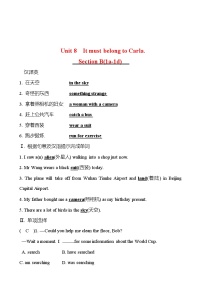 初中英语人教新目标 (Go for it) 版九年级全册Unit 8 It must belong to Carla.Section B测试题