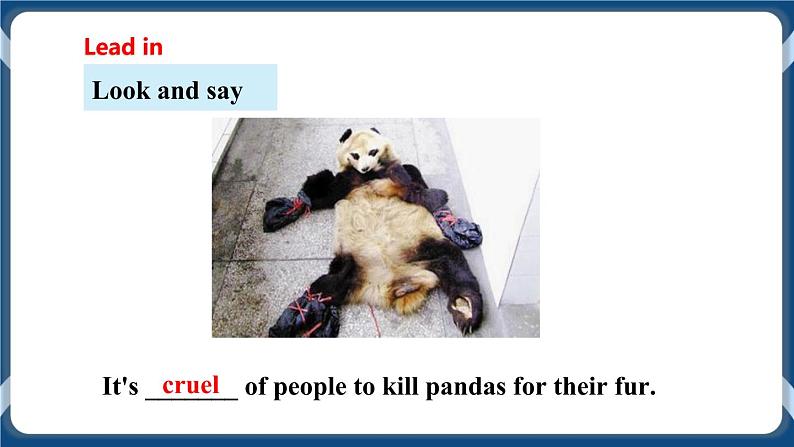 Module 3 Unit5 Save the endangered animals Period 3 Grammar课件+教案+导学案+同步练习04