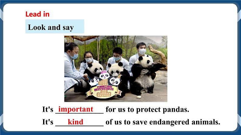 Module 3 Unit5 Save the endangered animals Period 3 Grammar课件+教案+导学案+同步练习05