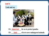 Module 3 Unit5 Save the endangered animals Period 3 Grammar课件+教案+导学案+同步练习