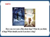 Module 3 Unit6 Pets Period 4 More practice&Culture corner课件+教案+导学案+素材