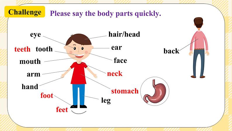 Unit 1 What’s the matter？  SectionA (1a-2c ) 课件+导学案+音视频素材05