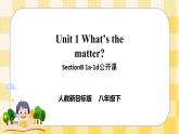 Unit 1 What’s the matter？SectionB1a-1d 课件+音视频（送导学案）