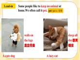 Unit5 Why do you like pandas ？ SectionA (2d-3c ) 课件+导学案+音视频