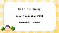 人教新目标 (Go for it) 版Section B优秀课件ppt