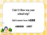 Unit 11 How was your school trip？SectionA (2d-3b ) 课件+导学案+音视频