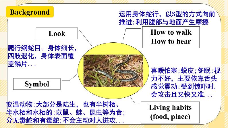 【公开课】Unit12 What did you do last weekend？  sectionB(2a-2c )同步课件第6页