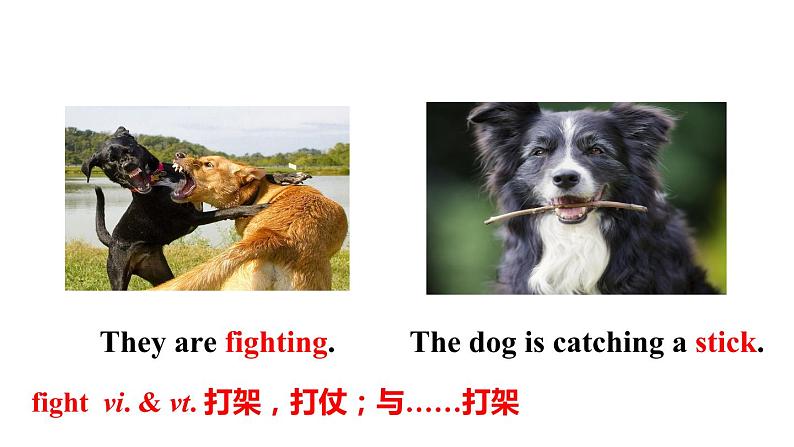 牛津译林版七B unit8 Reading1课件+教案+音频+导学案08