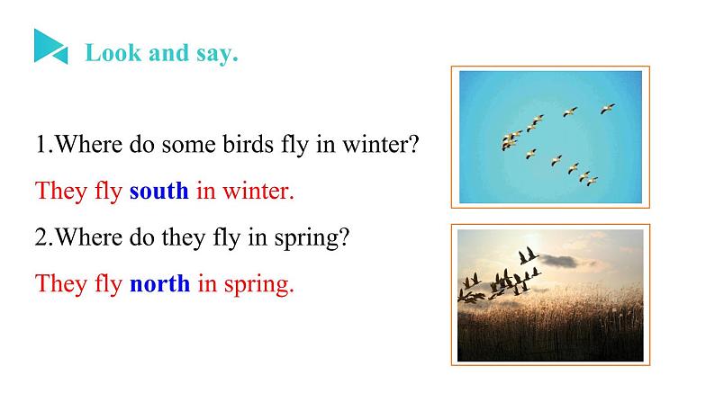 牛津译林版七B unit4 welcome to the unit课件第3页