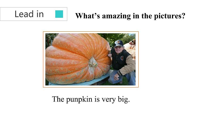 牛津译林版7B Unit 5 comic strip & Welcome to the unit课件第3页