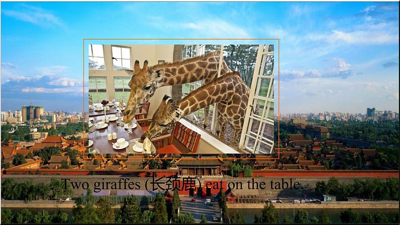 牛津译林版7B Unit 5 comic strip & Welcome to the unit课件第5页