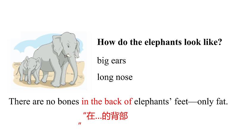 牛津译林版7B Unit 5 comic strip & Welcome to the unit课件第7页