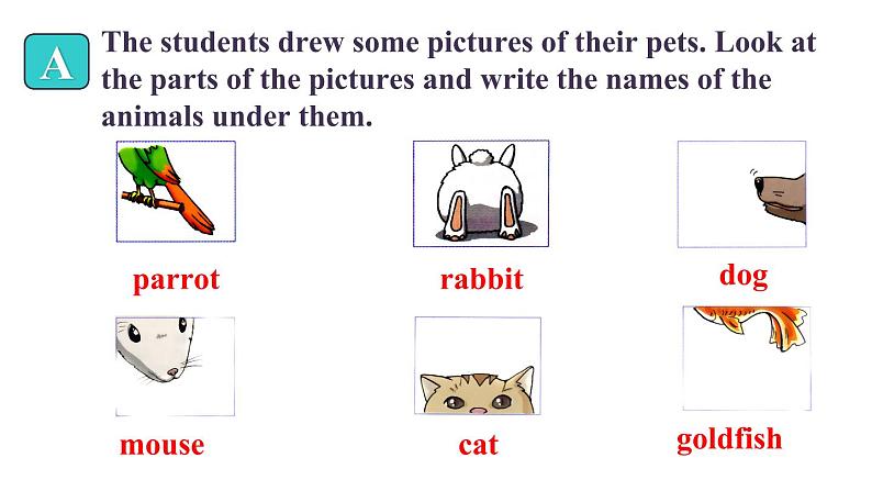 牛津译林版七B unit8 Welcome课件+教案+音频+导学案05