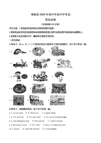 初中英语中考复习 精品解析：青海省2020年中考英语试题（原卷版）