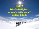 【人教版】八下英语  Unit 7  Section A  (3a-4c）课件+音视频