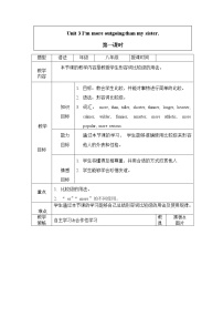 英语Section A教案及反思