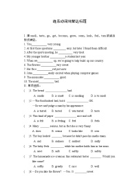 初中英语中考复习 二轮专题复习 连系动词【当堂达标题】