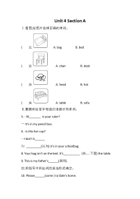 人教新目标 (Go for it) 版七年级上册Section A测试题