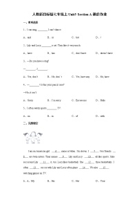 初中英语人教新目标 (Go for it) 版七年级上册Section A当堂检测题