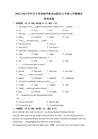 辽宁省实验学校赤山校区2022-2023学年七年级上学期期末英语试卷(含答案)