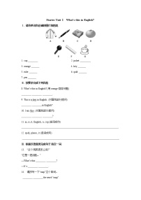 人教新目标 (Go for it) 版七年级上册Unit 2 What’s this in English?当堂检测题