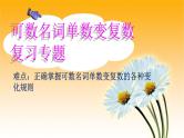 九年级英语（人教新目标）全一册 可数名词单数变复数  复习课件