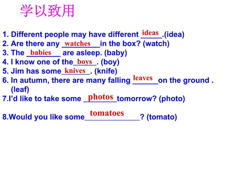 中考英语（人教新目标） 名词 复习课件07